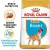Royal Canin Boxer Puppy - Hundefutter -Haustierzubehör royal canin boxer puppy hondenvoer 140465 0500 none