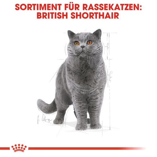 Royal Canin British Shorthair Adult - Katzenfutter 6 Royal Canin British Shorthair Adult - Katzenfutter – Bild 4