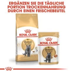 Royal Canin British Shorthair Adult - Katzenfutter 13 Royal Canin British Shorthair Adult - Katzenfutter -Haustierzubehör royal canin british shorthair adult kattenvoer 137551 0500 none