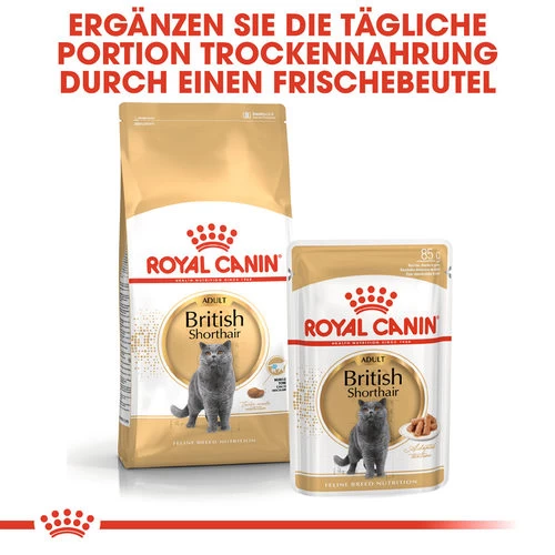 Royal Canin British Shorthair Adult - Katzenfutter 7 Royal Canin British Shorthair Adult - Katzenfutter – Bild 5