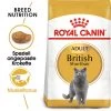 Royal Canin British Shorthair Adult - Katzenfutter -Haustierzubehör royal canin british shorthair adult kattenvoer 137578 0500 none