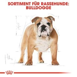 Royal Canin Bulldog Adult - Hundefutter -Haustierzubehör royal canin bulldog adult hondenvoer 137647 0500 none