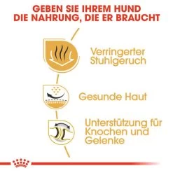 Royal Canin Bulldog Adult - Hundefutter -Haustierzubehör royal canin bulldog adult hondenvoer 137659 0500 none