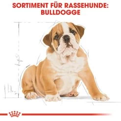 Royal Canin Bulldog Puppy - Hundefutter -Haustierzubehör royal canin bulldog puppy hondenvoer 137812 0500 none