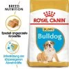 Royal Canin Bulldog Puppy - Hundefutter -Haustierzubehör royal canin bulldog puppy hondenvoer 137848 0500 none