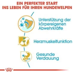 Royal Canin Cavalier King Charles Puppy - Hundefutter 12 Royal Canin Cavalier King Charles Puppy - Hundefutter -Haustierzubehör royal canin cavalier king charles puppy hondenvoer 137923 0500 none