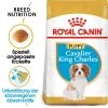 Royal Canin Cavalier King Charles Puppy - Hundefutter -Haustierzubehör royal canin cavalier king charles puppy hondenvoer 142808 0500 none