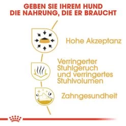 Royal Canin Chihuahua Adult - Hundefutter -Haustierzubehör royal canin chihuahua adult hondenvoer 137980 0500 none