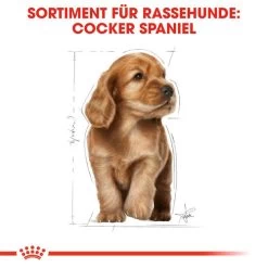 Royal Canin Cocker Puppy - Hundefutter -Haustierzubehör royal canin cocker puppy hondenvoer 138226 0500 none