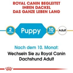 Royal Canin Dachshund Puppy - Hundefutter 14 Royal Canin Dachshund Puppy - Hundefutter -Haustierzubehör royal canin dachshund puppy hondenvoer 138319 0500 none