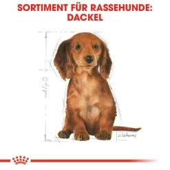 Royal Canin Dachshund Puppy - Hundefutter 13 Royal Canin Dachshund Puppy - Hundefutter -Haustierzubehör royal canin dachshund puppy hondenvoer 138346 0500 none