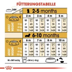 Royal Canin Dachshund Puppy - Hundefutter 16 Royal Canin Dachshund Puppy - Hundefutter -Haustierzubehör royal canin dachshund puppy hondenvoer 138355 0500 none