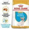 Royal Canin French Bulldog Puppy - Hundefutter -Haustierzubehör royal canin french bulldog puppy hondenvoer 140549 0500 none
