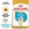 Royal Canin Golden Retriever Puppy - Hundefutter 1 Royal Canin Golden Retriever Puppy - Hundefutter -Haustierzubehör royal canin golden retriever puppy hondenvoer 140579 0500 none