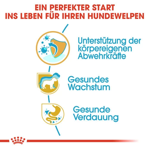 Royal Canin Jack Russell Terrier Puppy - Hundefutter 4 Royal Canin Jack Russell Terrier Puppy - Hundefutter – Bild 2