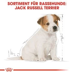 Royal Canin Jack Russell Terrier Puppy - Hundefutter 13 Royal Canin Jack Russell Terrier Puppy - Hundefutter -Haustierzubehör royal canin jack russell terrier puppy hondenvoer 139318 0500 none