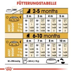 Royal Canin Jack Russell Terrier Puppy - Hundefutter 16 Royal Canin Jack Russell Terrier Puppy - Hundefutter -Haustierzubehör royal canin jack russell terrier puppy hondenvoer 139327 0500 none