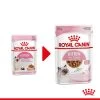 Royal Canin Kitten In Gravy - Katzenfutter -Haustierzubehör royal canin kitten in gravy kattenvoer 207080 0500 none