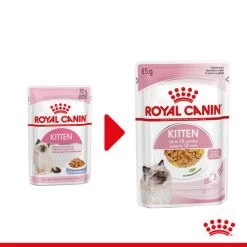 Royal Canin Kitten In Jelly - Katzenfutter -Haustierzubehör royal canin kitten in jelly kattenvoer 207116 0500 none