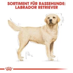 Royal Canin Labrador Retriever Adult - Hundefutter -Haustierzubehör royal canin labrador retriever adult hondenvoer 139351 0500 none