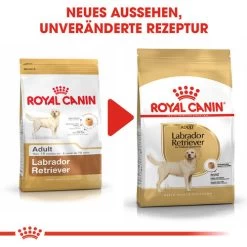 Royal Canin Labrador Retriever Adult - Hundefutter -Haustierzubehör royal canin labrador retriever adult hondenvoer 139378 0500 none