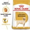 Royal Canin Labrador Retriever Adult - Hundefutter 2 Royal Canin Labrador Retriever Adult - Hundefutter -Haustierzubehör royal canin labrador retriever adult hondenvoer 140606 0500 none
