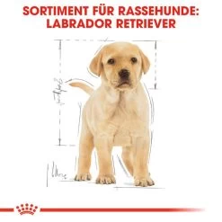 Royal Canin Labrador Retriever Puppy - Hundefutter -Haustierzubehör royal canin labrador retriever puppy hondenvoer 139438 0500 none