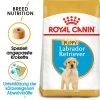Royal Canin Labrador Retriever Puppy - Hundefutter -Haustierzubehör royal canin labrador retriever puppy hondenvoer 140618 0500 none