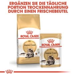 Royal Canin Maine Coon Adult Wet - Katzenfutter -Haustierzubehör royal canin maine coon adult wet kattenvoer 126035 0500 none
