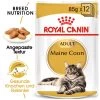 Royal Canin Maine Coon Adult Wet - Katzenfutter -Haustierzubehör royal canin maine coon adult wet kattenvoer 126059 0500 none