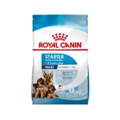 Royal Canin Maxi Starter Mother & Babydog - Hundefutter -Haustierzubehör royal canin maxi starter mother babydog hondenvoer 206831 0500 none