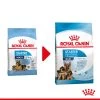 Royal Canin Maxi Starter Mother & Babydog - Hundefutter -Haustierzubehör royal canin maxi starter mother babydog hondenvoer 206861 0500 none