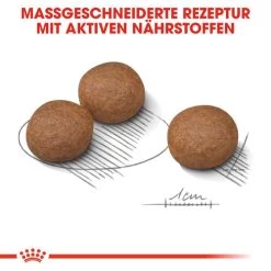 Royal Canin Medium Digestive Care - Hundefutter -Haustierzubehör royal canin medium digestive care hondenvoer 132806 0500 none