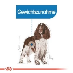 Royal Canin Medium Light Weight Care - Hundefutter -Haustierzubehör royal canin medium light weight care hondenvoer 132851 0500 none