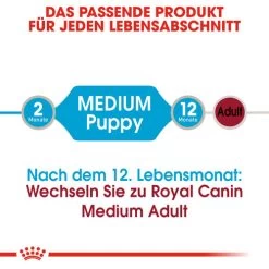 Royal Canin Medium Puppy Wet 14 Royal Canin Medium Puppy Wet -Haustierzubehör royal canin medium puppy wet 129245 0500 none