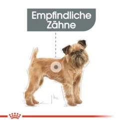 Royal Canin Mini Dental Care - Hundefutter -Haustierzubehör royal canin mini dental care hondenvoer 130985 0500 none