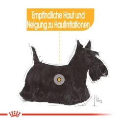 Royal Canin Dermacomfort Mini - Hundefutter -Haustierzubehör royal canin mini dermacomfort hondenvoer 132977 0500 none
