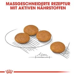 Royal Canin Dermacomfort Mini - Hundefutter -Haustierzubehör royal canin mini dermacomfort hondenvoer 132995 0500 none