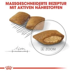 Royal Canin Mini Exigent - Hundefutter 16 Royal Canin Mini Exigent - Hundefutter -Haustierzubehör royal canin mini exigent hondenvoer 133178 0500 none