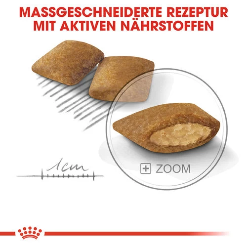 Royal Canin Mini Exigent - Hundefutter 7 Royal Canin Mini Exigent - Hundefutter – Bild 5