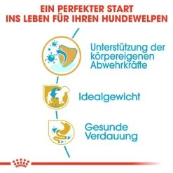 Royal Canin Mini Schnauzer Puppy - Hundefutter -Haustierzubehör royal canin mini schnauzer puppy hondenvoer 140173 0500 none