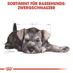 Royal Canin Mini Schnauzer Puppy - Hundefutter -Haustierzubehör royal canin mini schnauzer puppy hondenvoer 140182 0500 none
