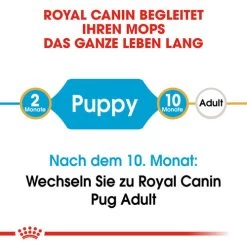 Royal Canin Pug Puppy - Hundefutter -Haustierzubehör royal canin pug puppy hondenvoer 139858 0500 none
