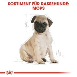 Royal Canin Pug Puppy - Hundefutter -Haustierzubehör royal canin pug puppy hondenvoer 139885 0500 none