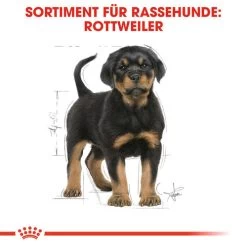 Royal Canin Rottweiler Puppy - Hundefutter 13 Royal Canin Rottweiler Puppy - Hundefutter -Haustierzubehör royal canin rottweiler puppy hondenvoer 140029 0500 none