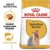 Royal Canin Yorkshire Terrier Adult - Hundefutter -Haustierzubehör royal canin yorkshire terrier adult hondenvoer 140768 0500 none