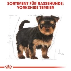 Royal Canin Yorkshire Terrier Puppy - Hundefutter -Haustierzubehör royal canin yorkshire terrier puppy hondenvoer 140804 0500 none