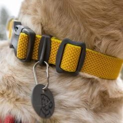 Ruffwear Hi & Light Halsband -Haustierzubehör ruffwear hi light collar 194258 0500 none