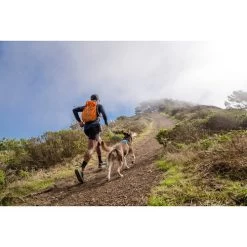 Ruffwear Hi & Light Harness -Haustierzubehör ruffwear hi light harness 196016 0500 none