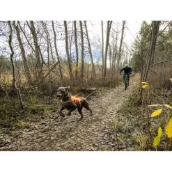 Ruffwear Webmaster Harness -Haustierzubehör ruffwear webmaster harness 217113 0500 none